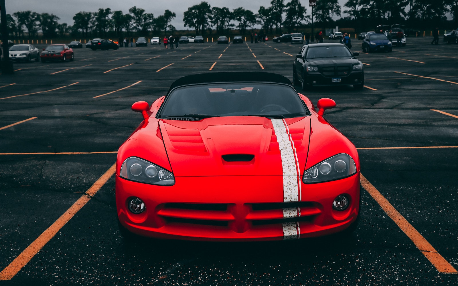 光遗传学控制设备特写