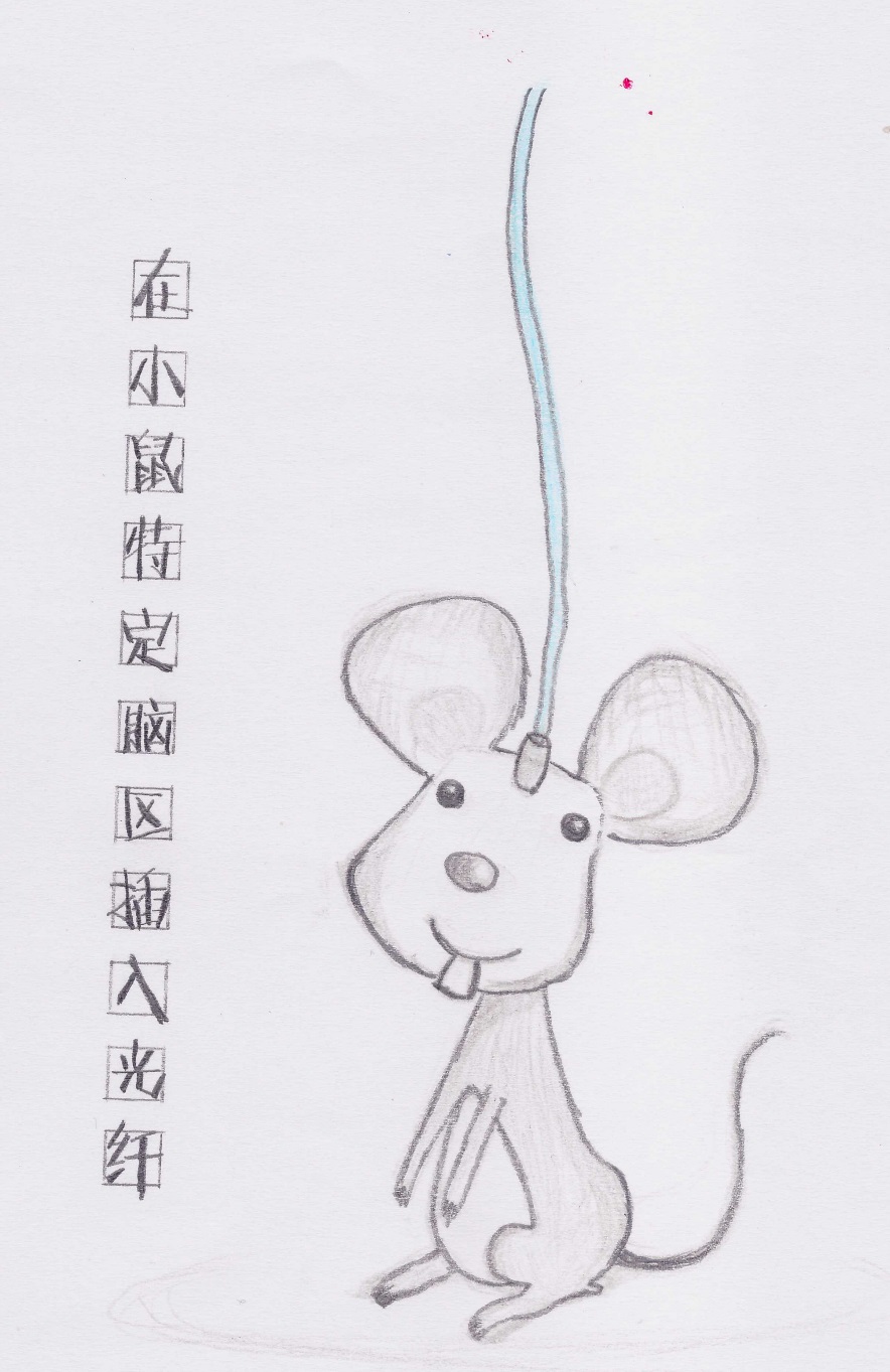 王飞大脑的光控开关(图4)