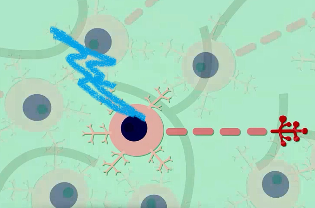 王飞大脑的光控开关(图5)
