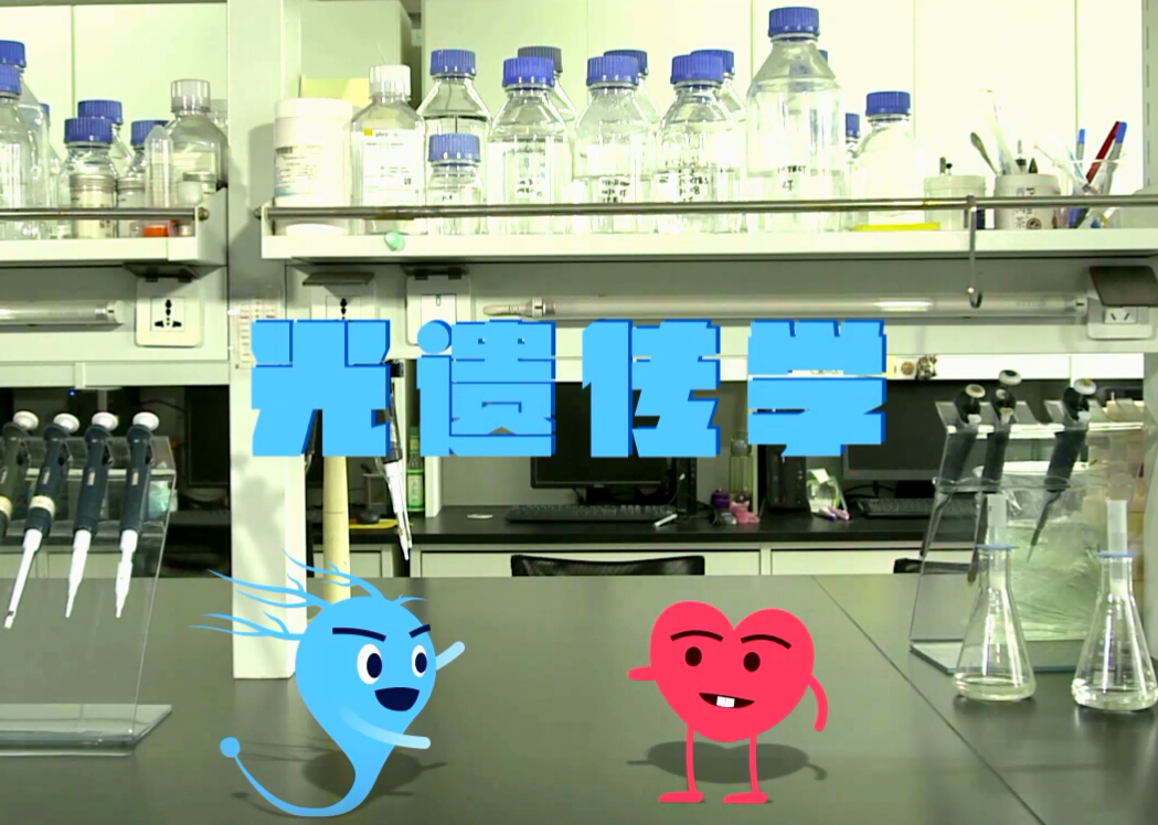 王飞大脑的光控开关(图7)