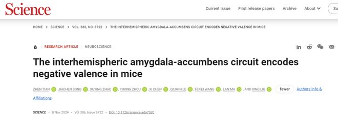 Science刘星马兰团队发现跨脑半球神经连接介导负性情绪形成(图1)
