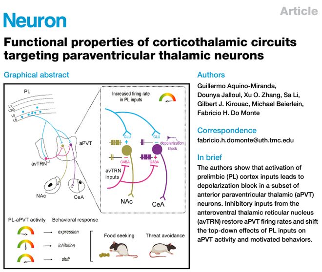 Neuron丨从光到行为：解密前额叶与丘脑的“电流对话”(图1)