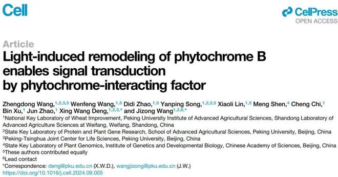 专家点评Cell王继纵课题组邓兴旺课题组合作解析植物光信号转导新机制(图1)