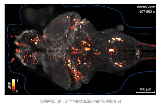 光遗传学的发展历程和最新进展(图3)