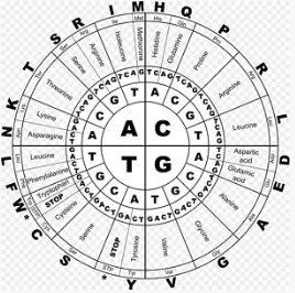 NATUREMETHODS十大技术之一——光遗传学(图2)
