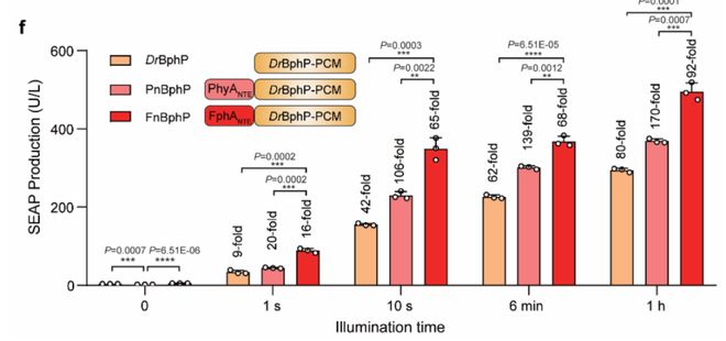 NatCommun丨叶海峰课题组新型光遗传学技术实现光照减肥！(图3)