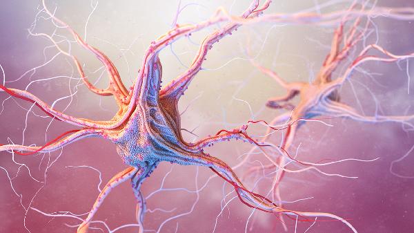 光刺激诱发癫痫症的原因是什么？(图2)