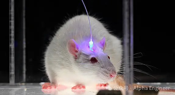 AnthropicCEO万字长文预言：AGI将有望治愈癌症、倍增寿命(图6)