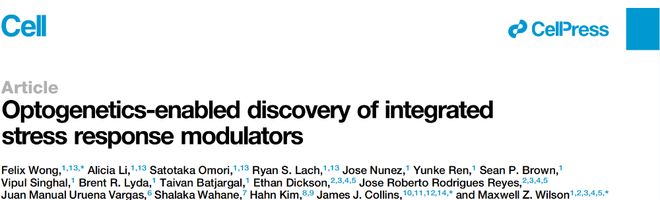 Cell 利用光遗传筛选整合应激反应的调控化合物(图1)