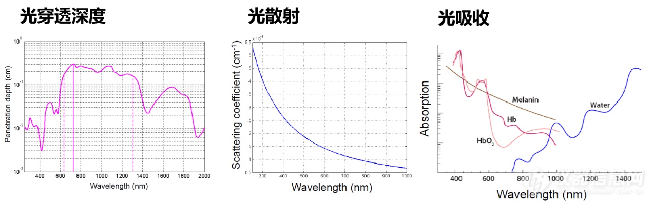 北京大学李文哲博士：双光子显微成像技术应用心得(图3)