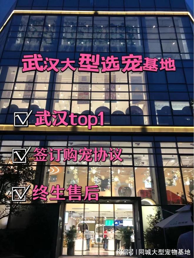 武汉哪里卖宠物猫狗的选择性多？这里安全可靠能挑选心仪的宠物(图1)