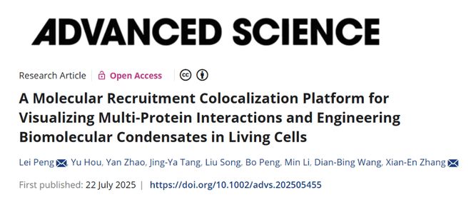 AdvSci丨张先恩、彭雷、分子招募共定位系统：活细胞中可视化多蛋白互作与构建生物凝聚体的新工具(图1)