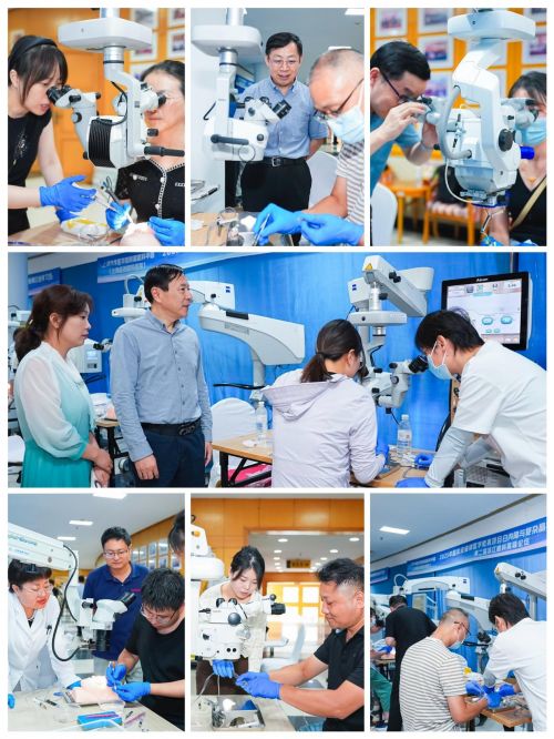 第二届滨江眼科高峰论坛召开促眼科多学科协同发展(图24)