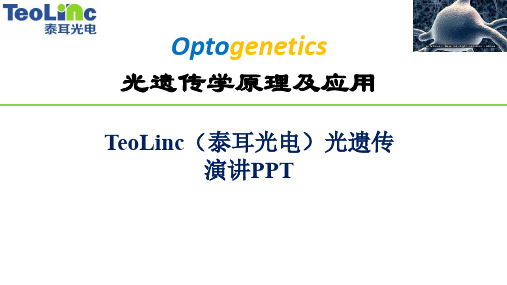光遗传学医学知识课件(图2)