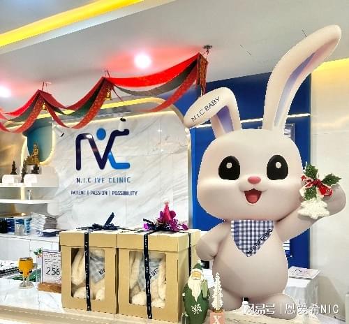 泰国恩爱希nic试管技术细节分享(图3)