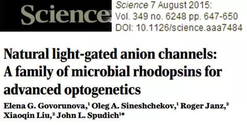一位医生的科研之路——光遗传学的前世今生(图1)