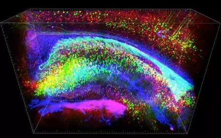 一位医生的科研之路——光遗传学的前世今生(图3)