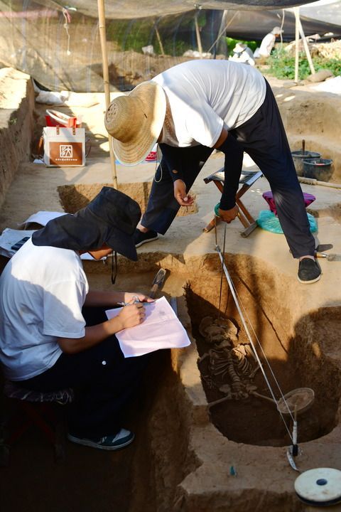 大汶口遗址：文明曙光照亮海岱大地(图2)