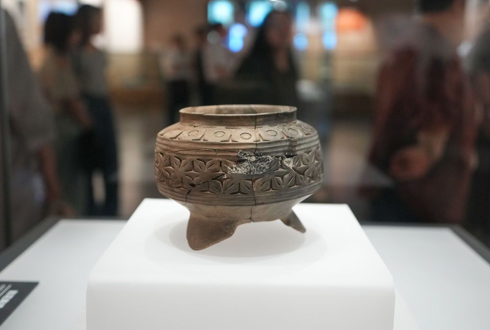 大汶口遗址：文明曙光照亮海岱大地(图8)