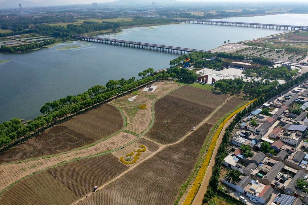 大汶口遗址：文明曙光照亮海岱大地(图10)