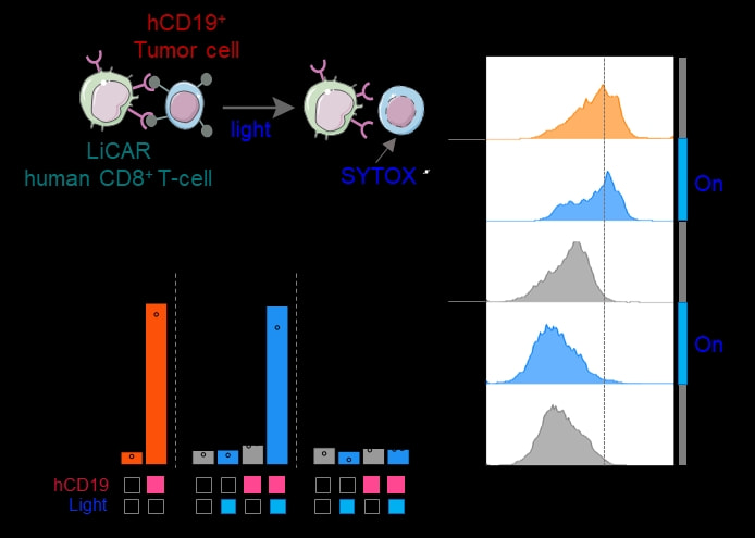 【会议通知】2025小脑齿状核DBS创新技术研讨会暨神经外科机器人DBS手术专家共识定稿会(图1)