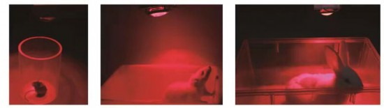 上海合成生物学下一个“重磅”成果会是什么？(图2)