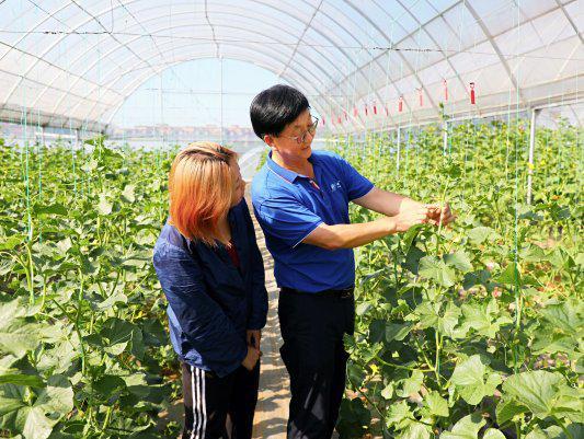 张兴平：设计育种创未来(图2)