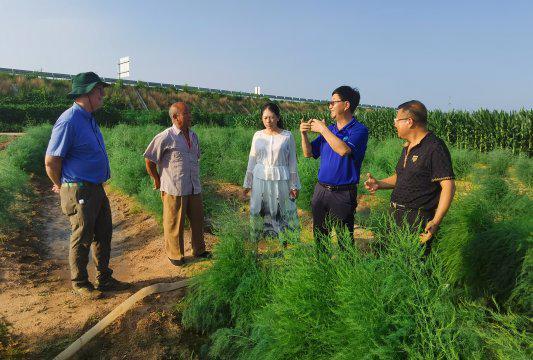 张兴平：设计育种创未来(图3)