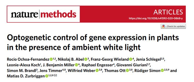 NatureMethods新型光遗传学调控系统可用于植物中的基因表达调控(图1)