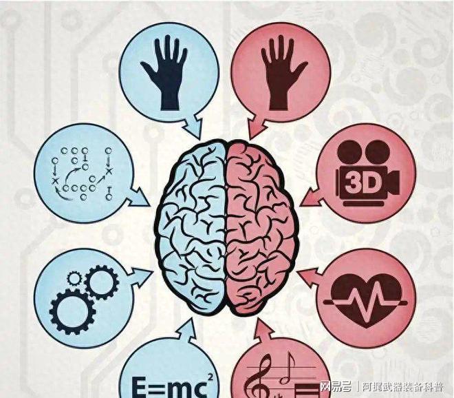 记忆能被直接消除？科学家发现大脑新机制你的记忆可能是捏造的(图1)