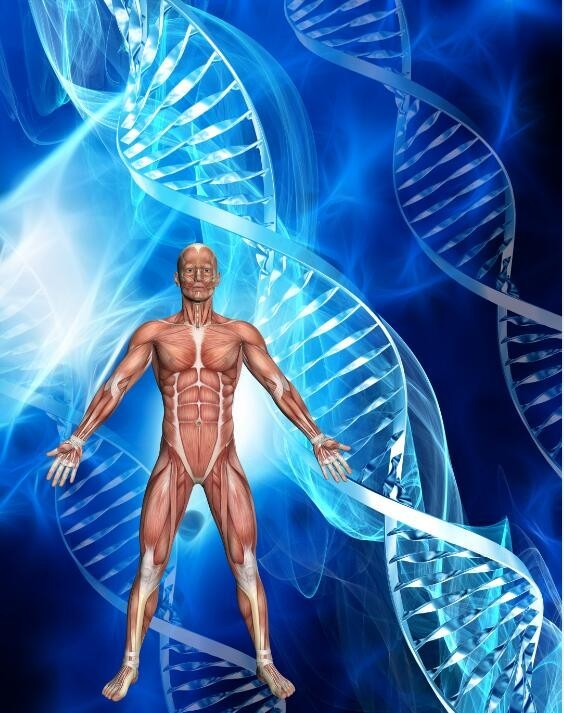 9月17日外媒科学网站摘要：如何让免疫细胞打赢肿瘤？科学家给它穿上“防弹衣”(图1)