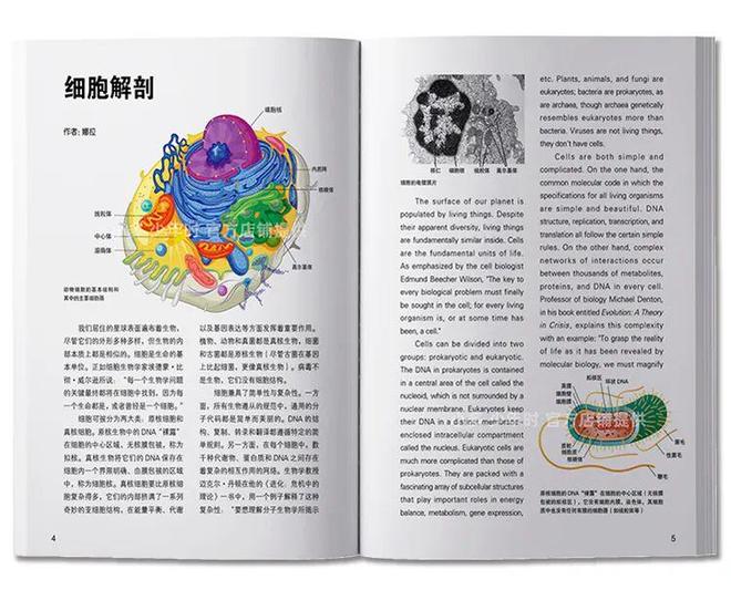 秒杀！《少年时》过刊专场都是男孩们心动的主题库存极其稀缺(图38)