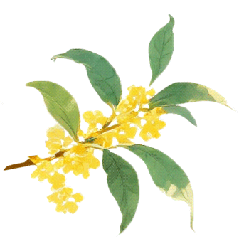 农田里的科学家：把论文写在祖国大地上！拾光70年(图1)