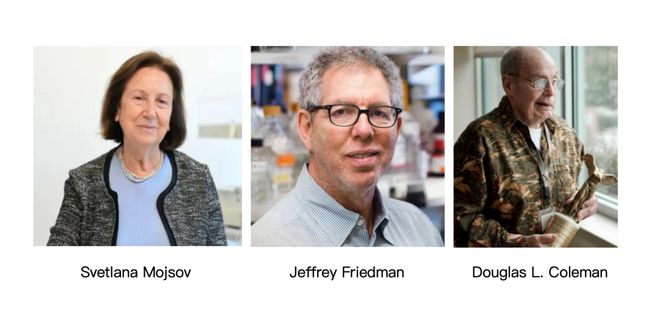 2025诺奖生理学或医学奖前瞻｜医学还是基础？华人能否获奖？(图8)