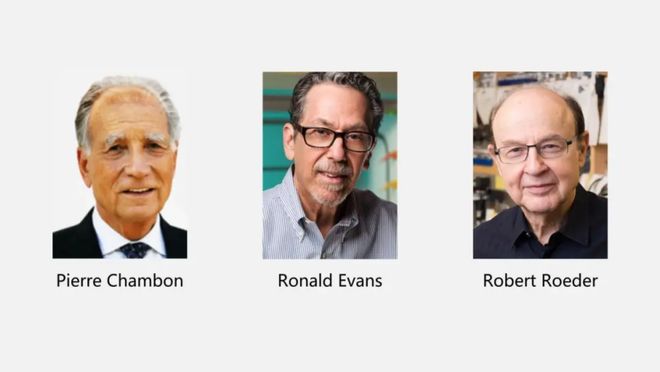 2025诺奖生理学或医学奖前瞻｜医学还是基础？华人能否获奖？(图15)