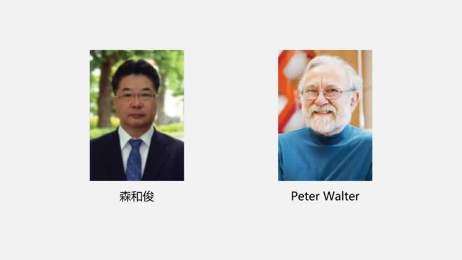 2025诺奖生理学或医学奖前瞻｜医学还是基础？华人能否获奖？(图13)