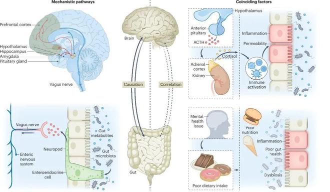 追问daily励志短视频与冥想效果相当；赌博直播如何让人越看越想赌；少量恶意文档即可投毒大型语言模型(图3)