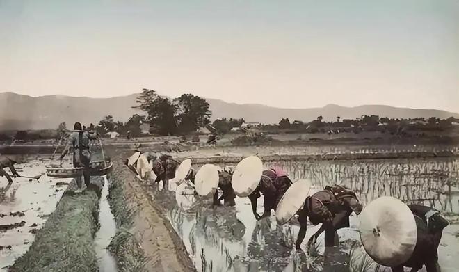 日本人破防了：DNA检测日本祖先被证实人不是徐福后代(图9)