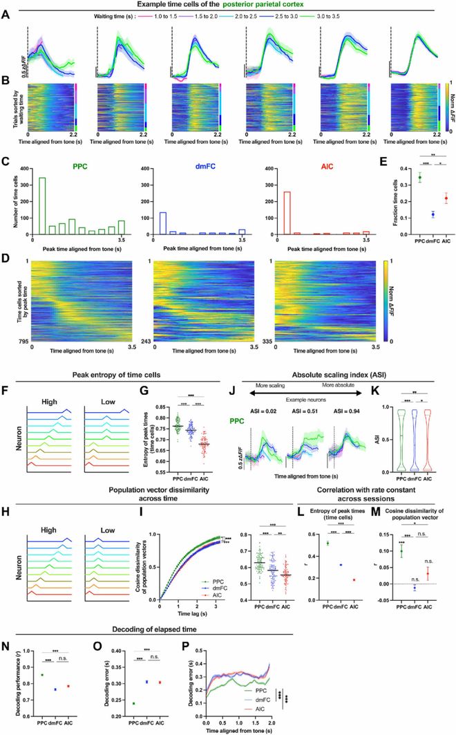 SciAdv：为什么我们等待时常常焦躁难耐？Kamigaki团队揭示大脑皮层冲动控制的精细分工机制(图3)
