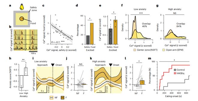 NatNeurosci：饿着不敢吃？科学家揭示外侧下丘脑瘦素受体神经元对抗焦虑的神经机制(图4)