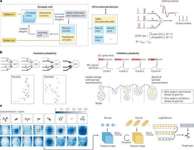 中石油第一单位发Nature系列综述！(图4)