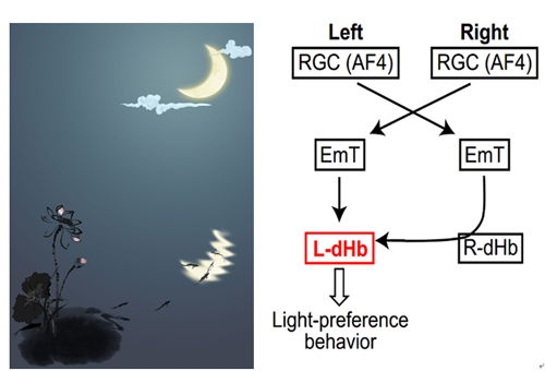 浙江一所农村普通高中竟走出新晋院士！(图1)