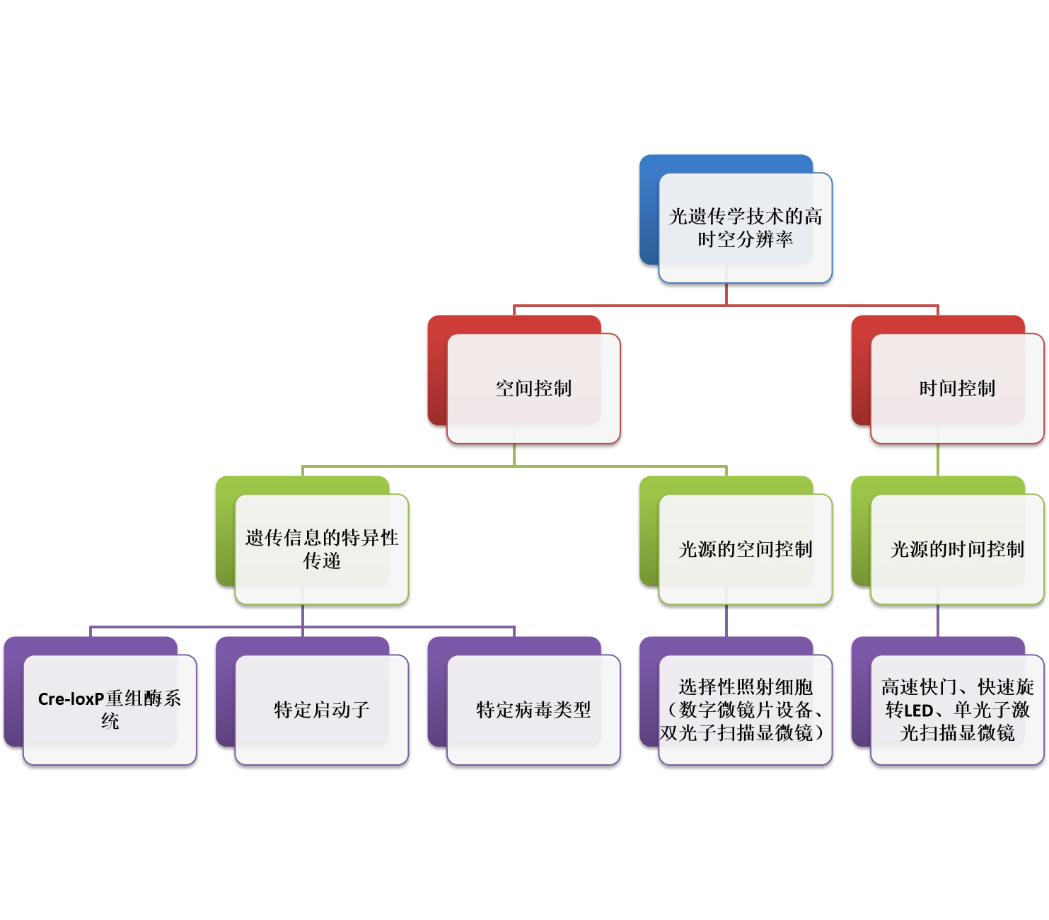 维真生物科技有限公司(图1)