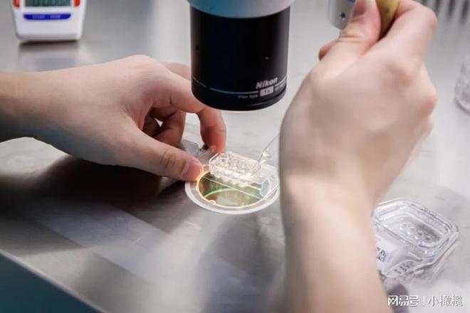 高龄生育是「硬伤」！如何实现好孕？这四招建议收藏→(图2)