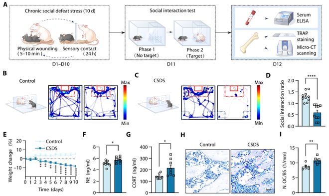 空军军医大学胡学昱董玉琳最新Science子刊(图2)