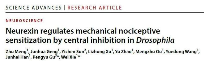 SciAdv丨谢维顾鹏宇课题组合作揭示nrx调控机械性伤害感受敏化的分子环路机制(图1)