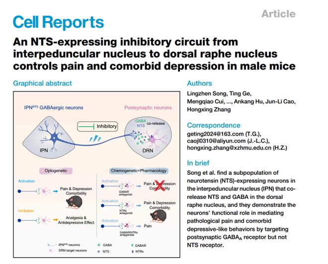 CellRep丨为啥疼久了会emo？徐州医科大学葛婷曹君利张红星团队揭示慢性疼痛与共病抑郁的关键神经环路(图2)