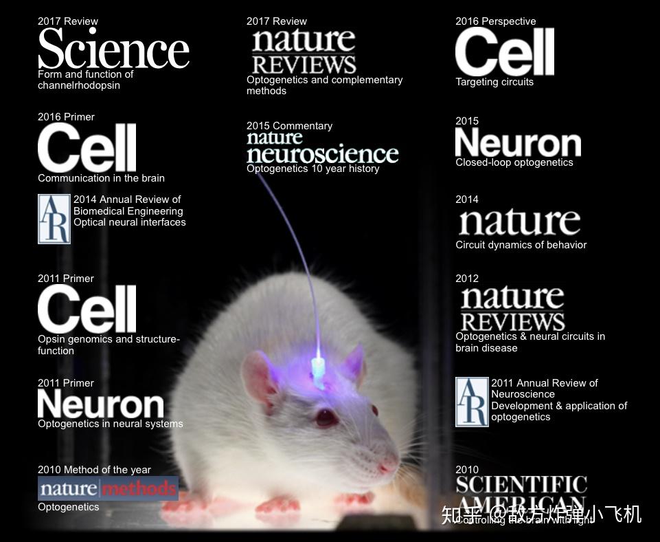 脑声常谈每日更新丨动物行为实验方法专题汇总持续更新(图1)