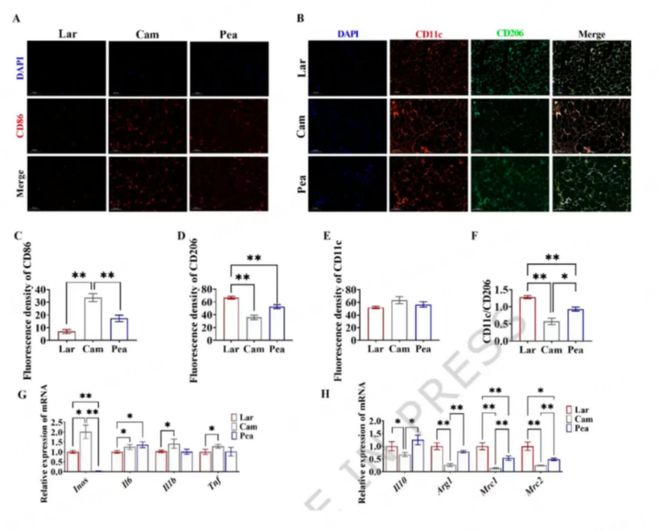 药物之外还有哪些控糖选择？顶刊研究揭示“意料之外”的3大助力(图5)