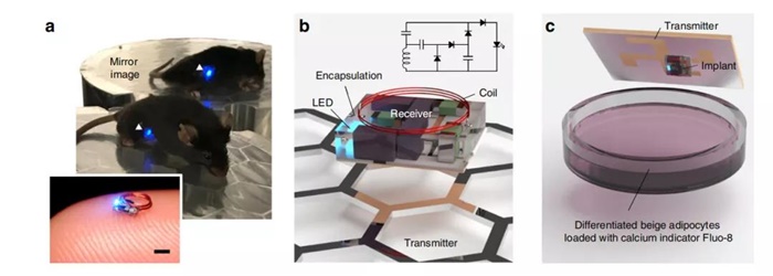 讲述秦岭之光走进陕西省图书馆探秘“秦岭四宝”(图1)